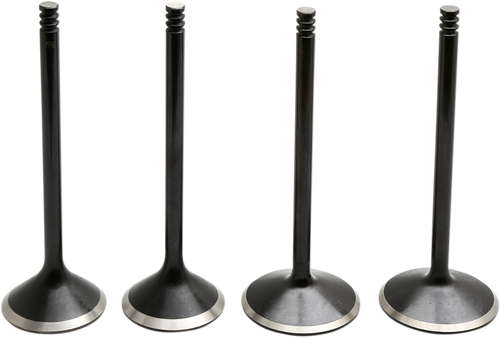 Black Diamond™ Engine Valve Kit