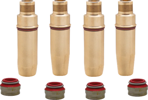 Valve Guide Kit