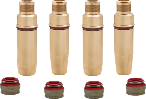 Valve Guide Kit