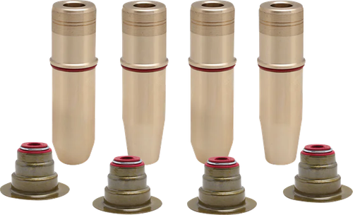 Valve Guide Kit