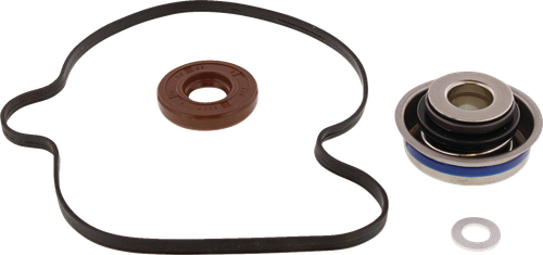 Water Pump Rebuild Kit