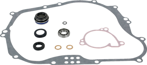 Water Pump Rebuild Kit