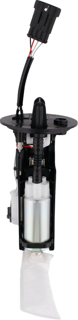 Fuel Pump Module