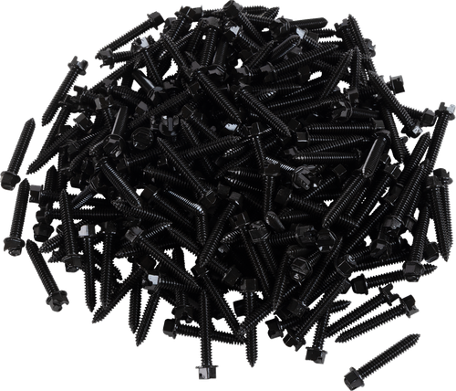 AMA Race Legal Traction Screws
