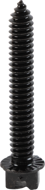 AMA Race Legal Traction Screws