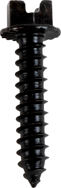 AMA Race Legal Traction Screws