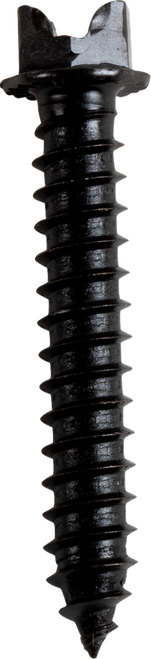 AMA Race Legal Traction Screws