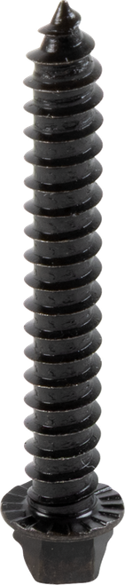 AMA Race Legal Traction Screws