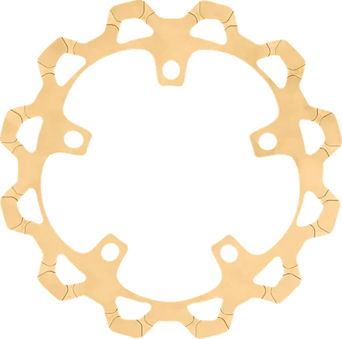 Front Brake Rotor