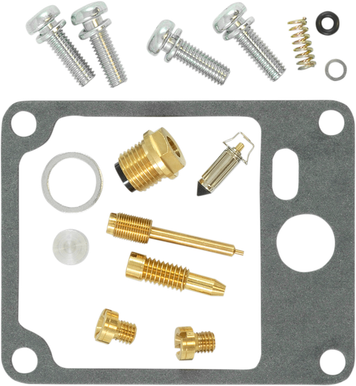 Carburetor Repair Kit