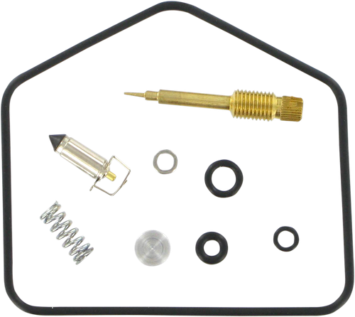 Carburetor Repair Kit