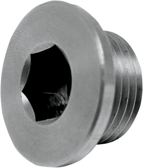 O2 Sensor Bung Plug