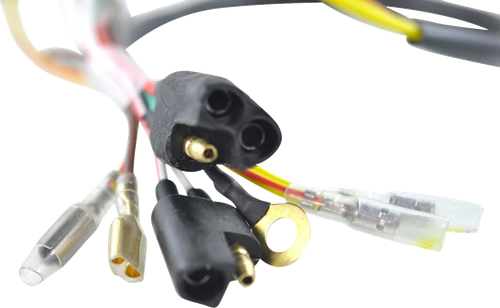 Stator and Flywheel Kit