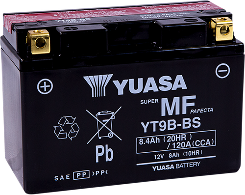AGM Maintenance-Free Battery