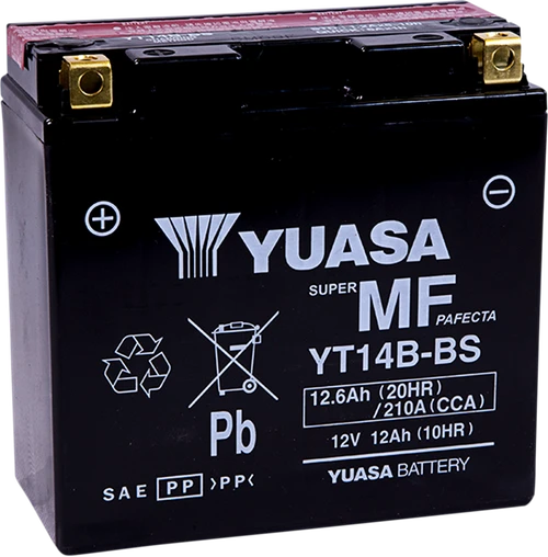 AGM Maintenance-Free Battery
