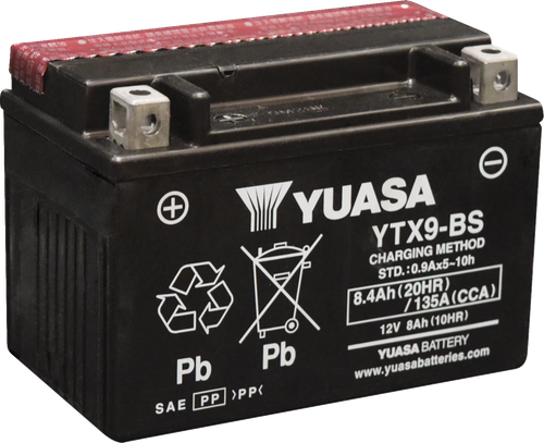 AGM Maintenance-Free Battery