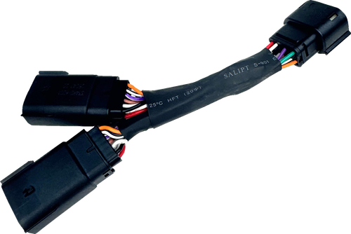 Dual Accessory Cable