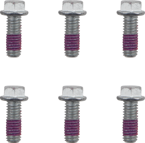 Brake Rotor Bolts
