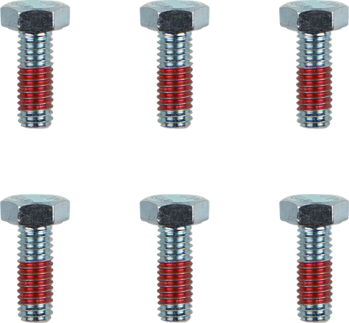Brake Rotor Bolts