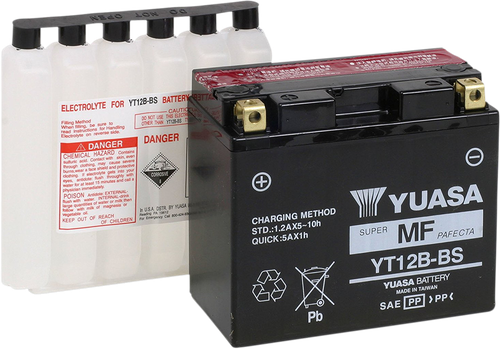 AGM Maintenance-Free Battery