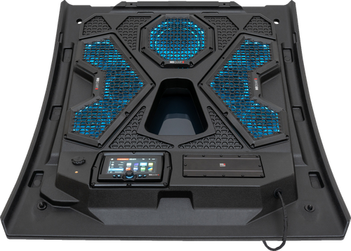 Audio Roof System