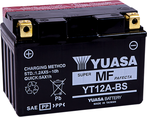 AGM Maintenance-Free Battery