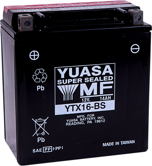 AGM Maintenance-Free Battery