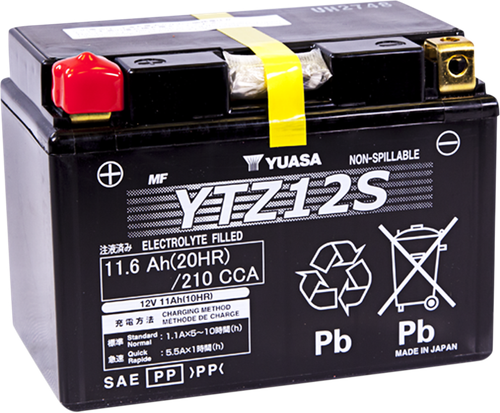 High Performance AGM Maintenance-Free Battery