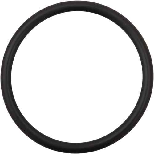 JAMES GASKET - JGI-ST-11900029 - Alternator Cap Cover O-Ring - '15-'20 Harley-Davidson Street 750
