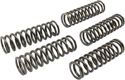 EBC - CSK223 - CSK Clutch Spring Set - '16-'17 Suzuki GSX-S1000F, GSX-S1000