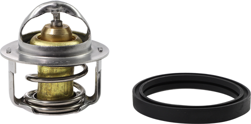 ALL BALLS - 16-3001 - Replacement Thermostat - Polaris
