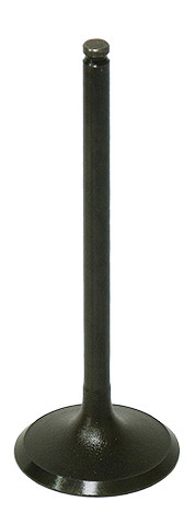 INTAKE VALVE