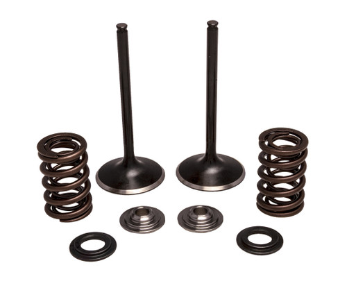 INTAKE VALVE/SPRING KIT STAINLESS STEEL
