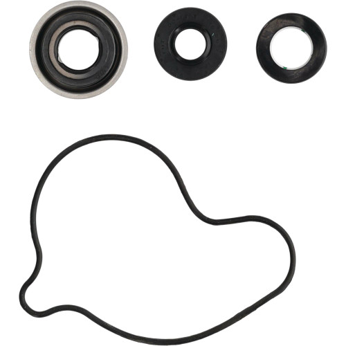 WATER PUMP REBUILD KIT