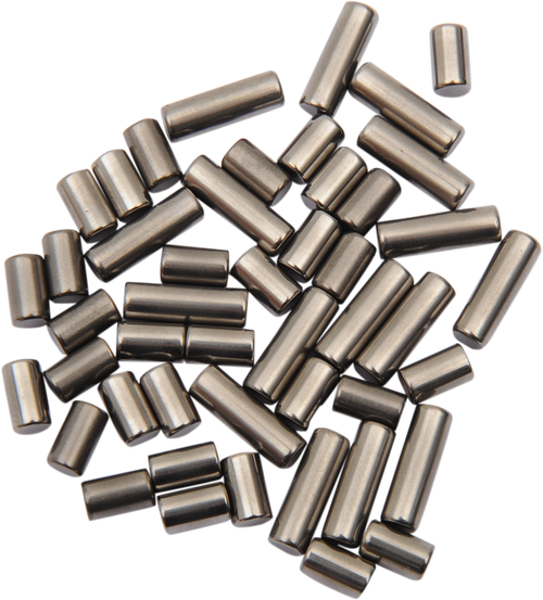 EASTERN MOTORCYCLE PARTS - B-EV-1 - Bearing Roller Set - Standard - '86-'96 Big Twin