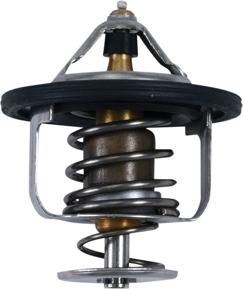 ALL BALLS - 16-3004 - Replacement Thermostat - Polaris