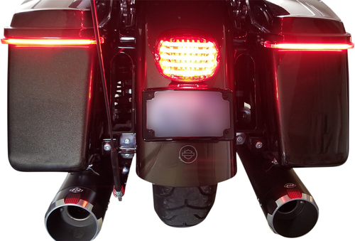 CUSTOM DYNAMICS - PB-TL-LPBW-R - Taillight - with Bottom License Plate Illumination Window - Red