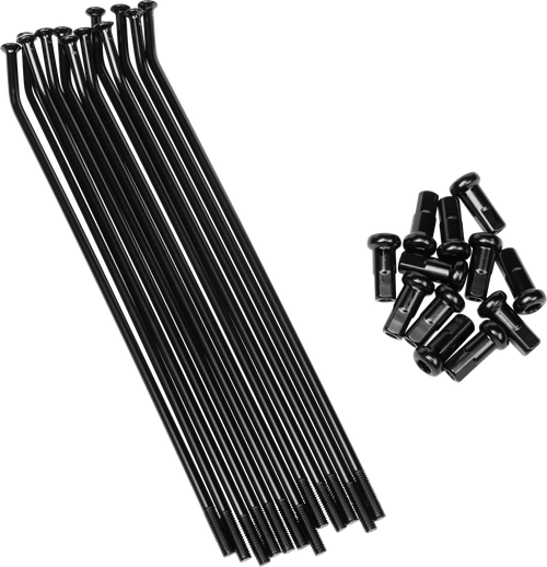 FIRE POWER - RW-18215-K621R-SN - KAW R SPOKES SERVICE KIT FIRE POWER WHEELS
