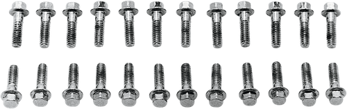 COLONY - 8734-24 - Screw Kit - Valve Cover/Hex - with Steel D Rings - Chrome