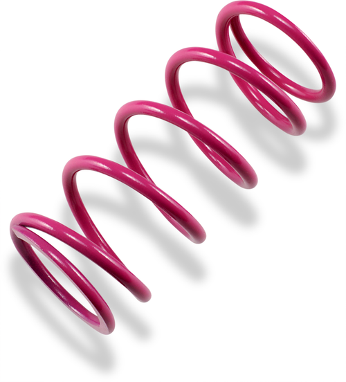 EPI - PS-11 - Primary Spring