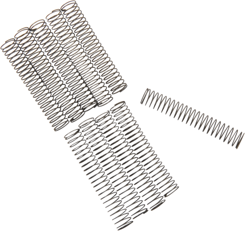 EASTERN MOTORCYCLE PARTS - A-26262-80 - Check Valve Spring - Big Twin