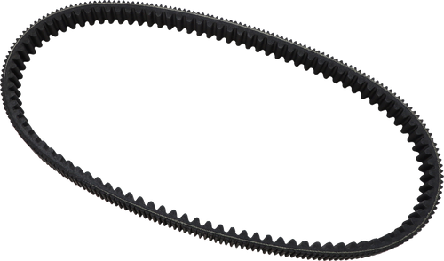 DAYCO PRODUCTS,LLC - HPX5019 - Drive Belt - HPX (High Performance Extreme) - 1.409" W x 43.828" OC