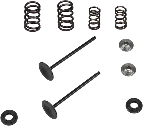 KIBBLEWHITE - 96-96450 - Valve Spring Kit