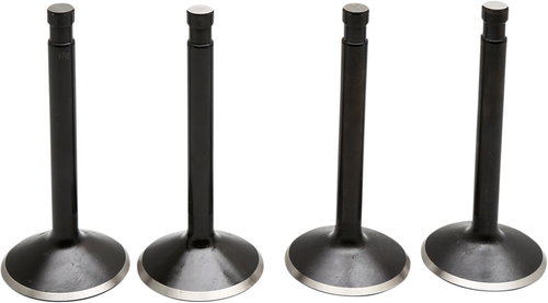 KIBBLEWHITE - 20-22400 - Valve Kit