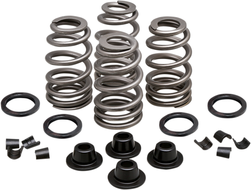 KIBBLEWHITE - 20-21500 - Spring Kit - .660" - Evolution/Twin Cam