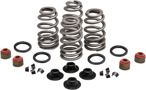 KIBBLEWHITE - 20-21550 - Spring Kit - .660" - Twin Cam