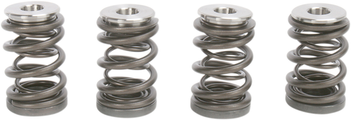 KIBBLEWHITE - 96-96000 - Spring Kit