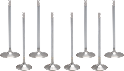 KIBBLEWHITE - 20-23300 - Valve Kit - M8