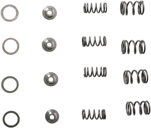 KIBBLEWHITE - 30-3041 - Valve Spring Kit