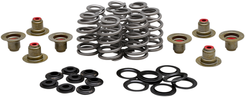KIBBLEWHITE - 20-21850 - Beehive Spring Kit - .625" - M8